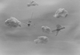 satellites in
                                                clouds photograph susan
                                                graham