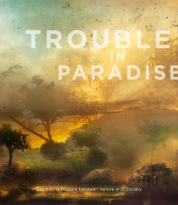 trouble
                                                          in paradise